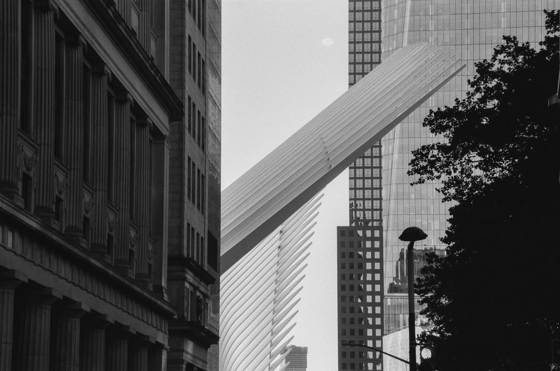 Liminal — frame 05